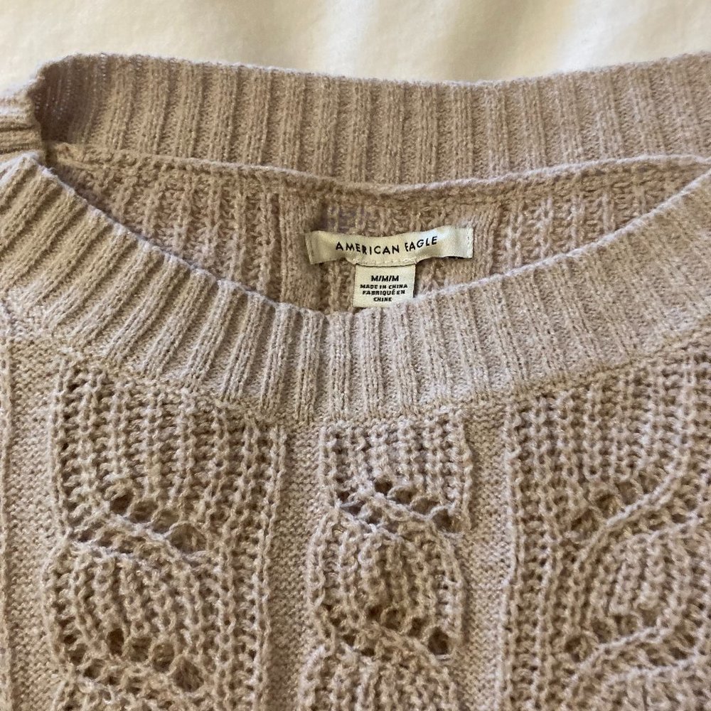 American Eagle Cropped Sweater